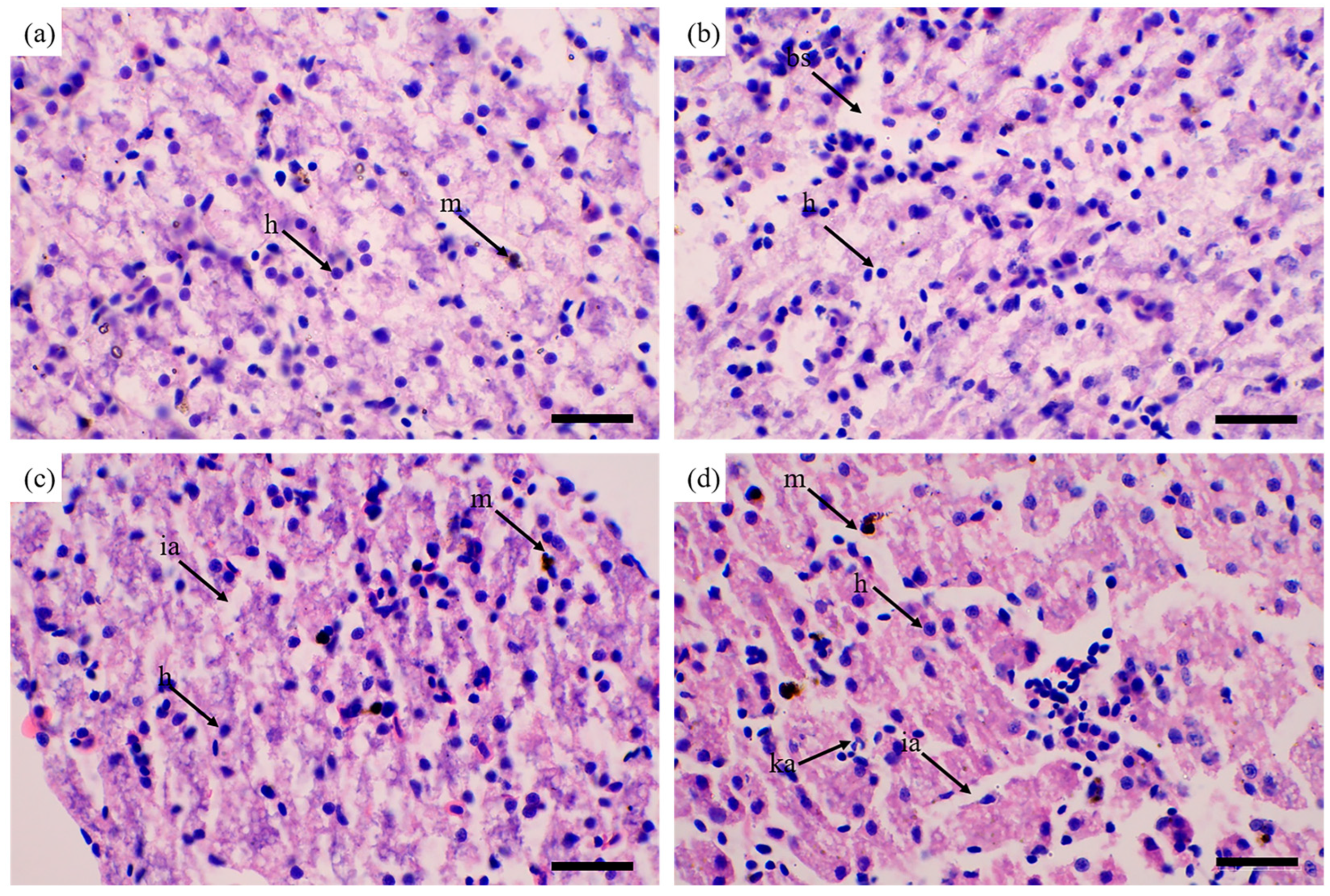 Toxics 13 00165 g002