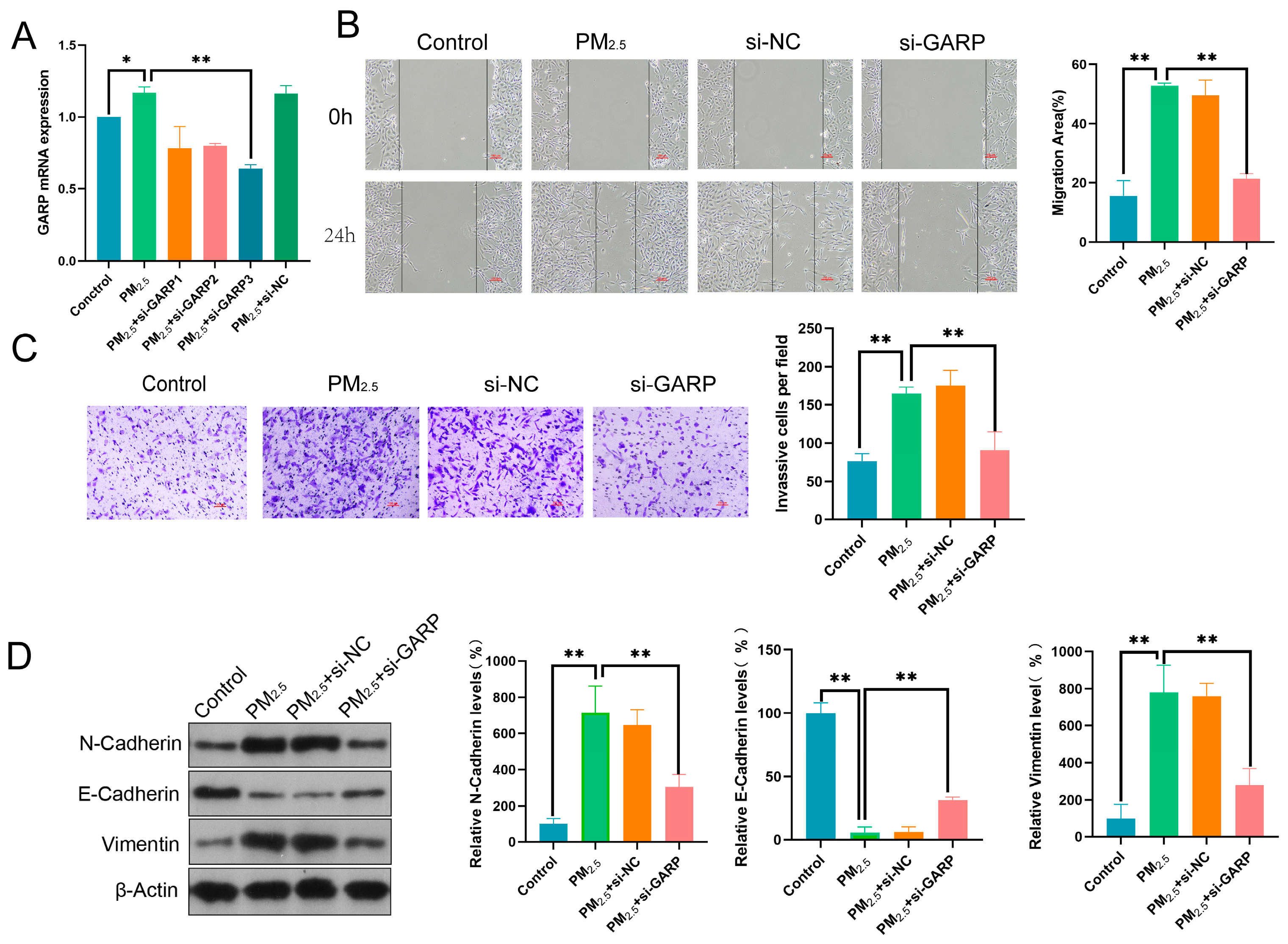 Toxics 13 00166 g004