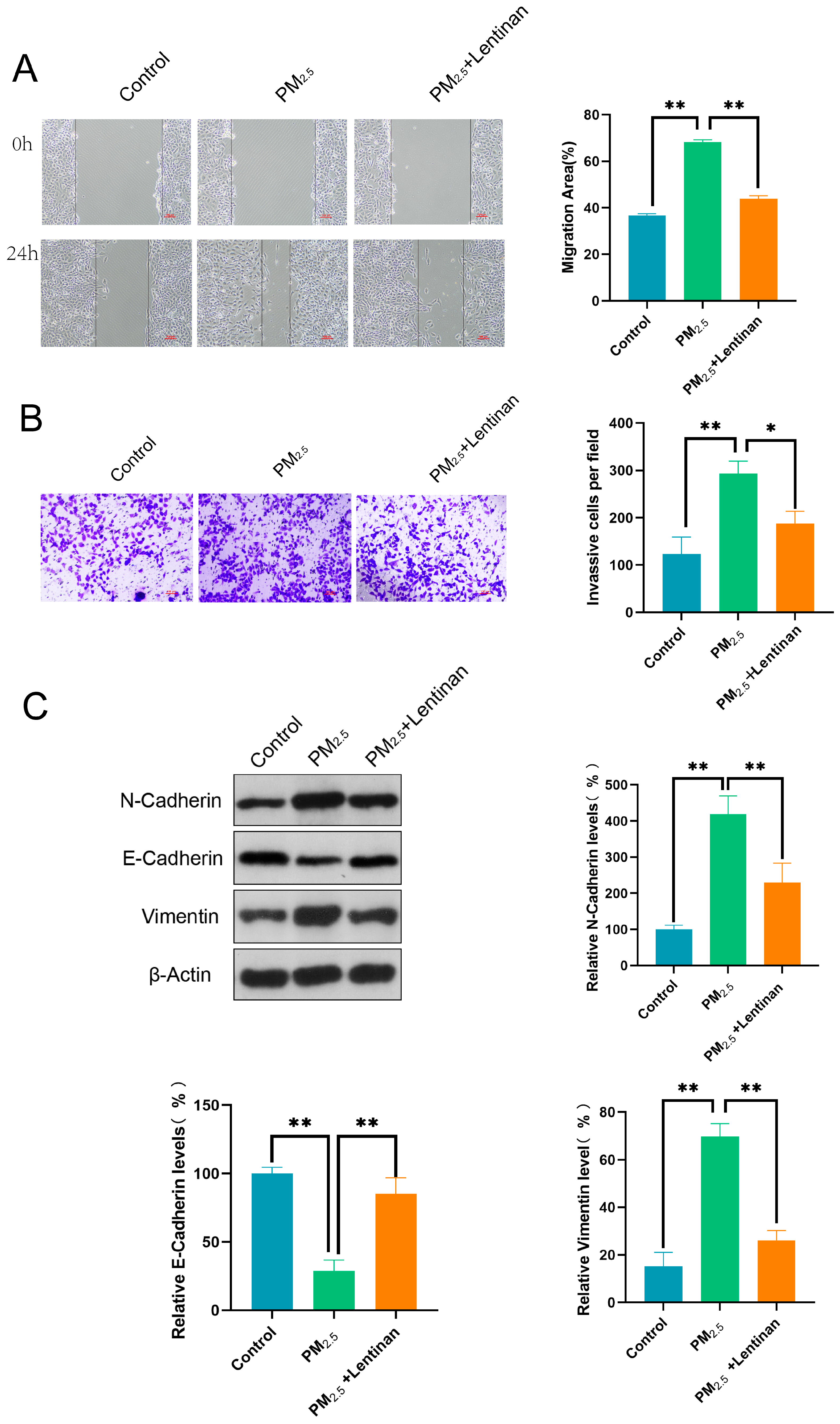Toxics 13 00166 g005