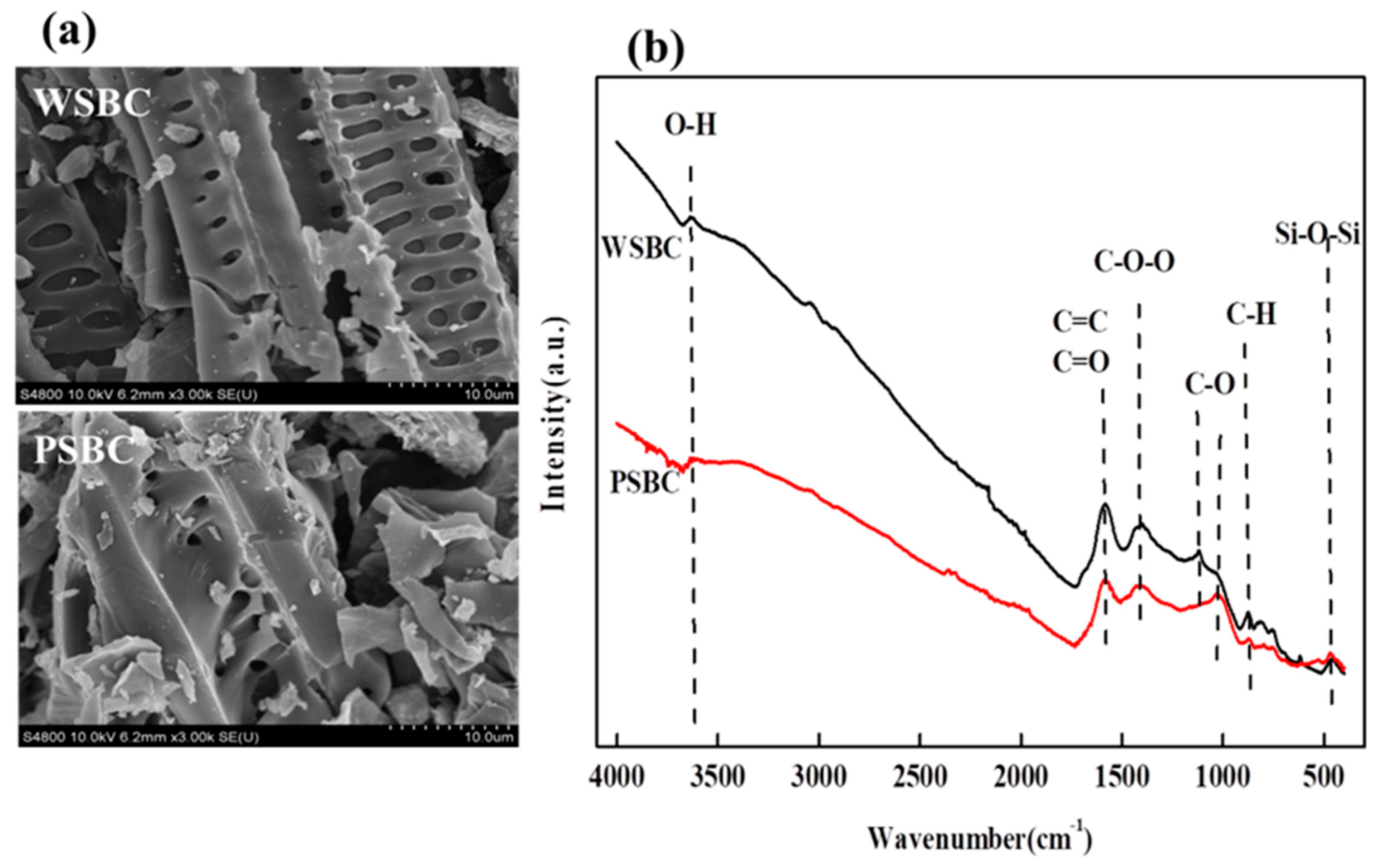 Toxics 13 00169 g001