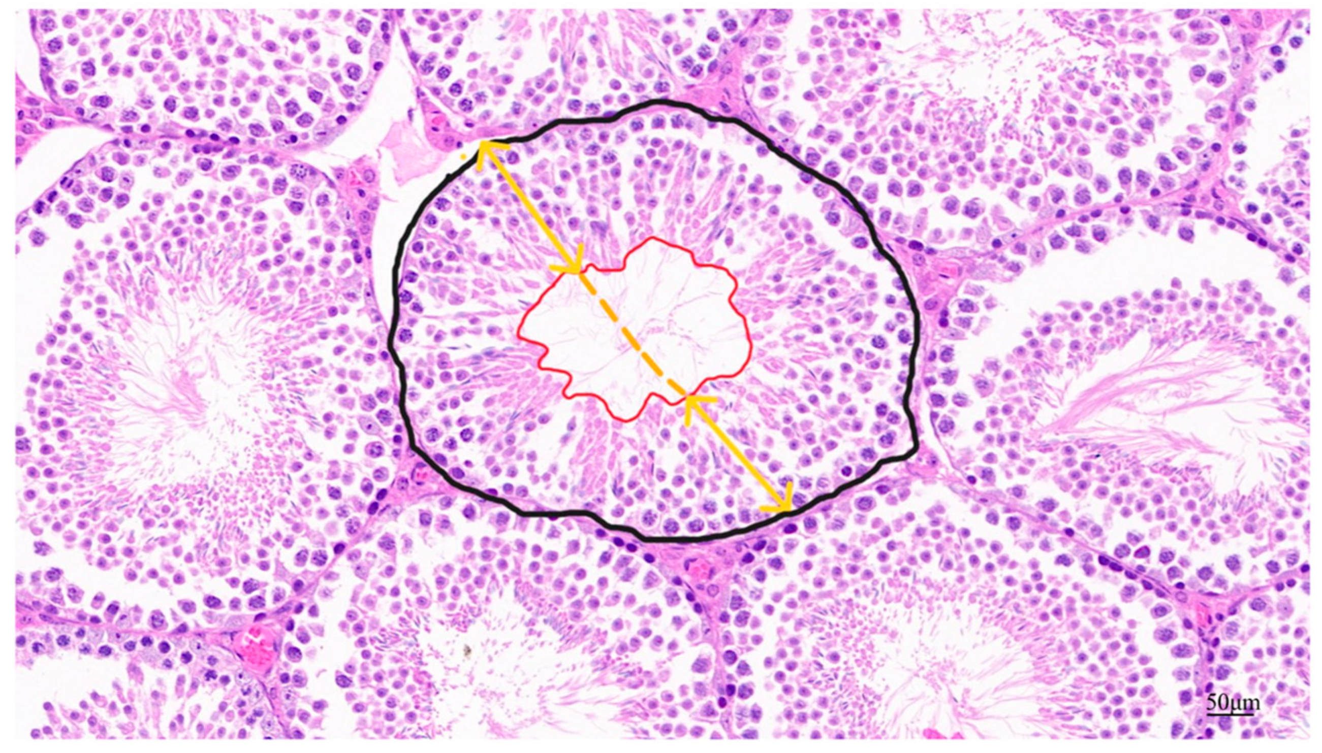 Toxics 13 00172 g002