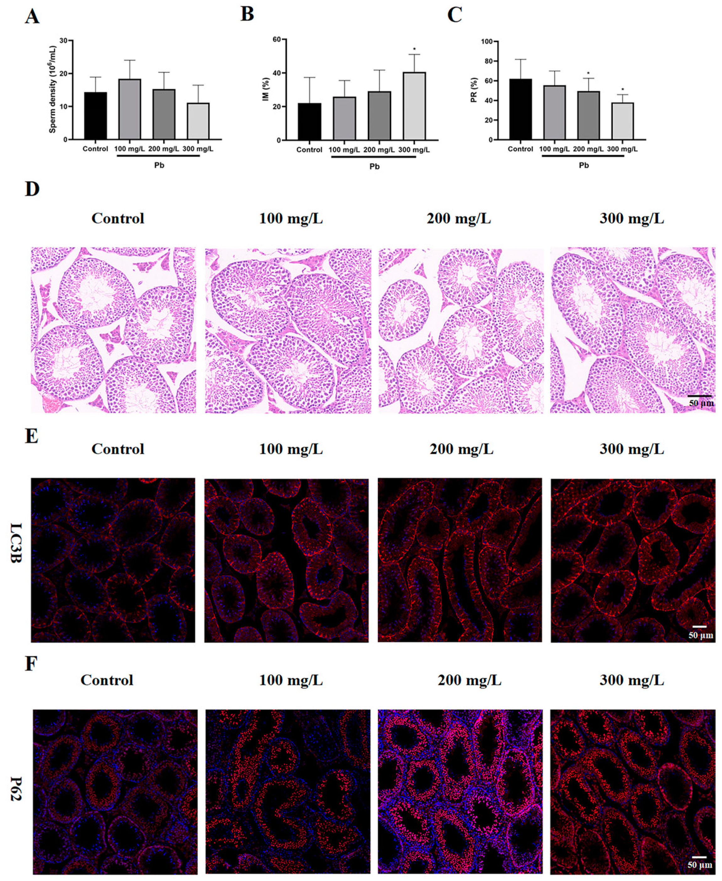 Toxics 13 00175 g001