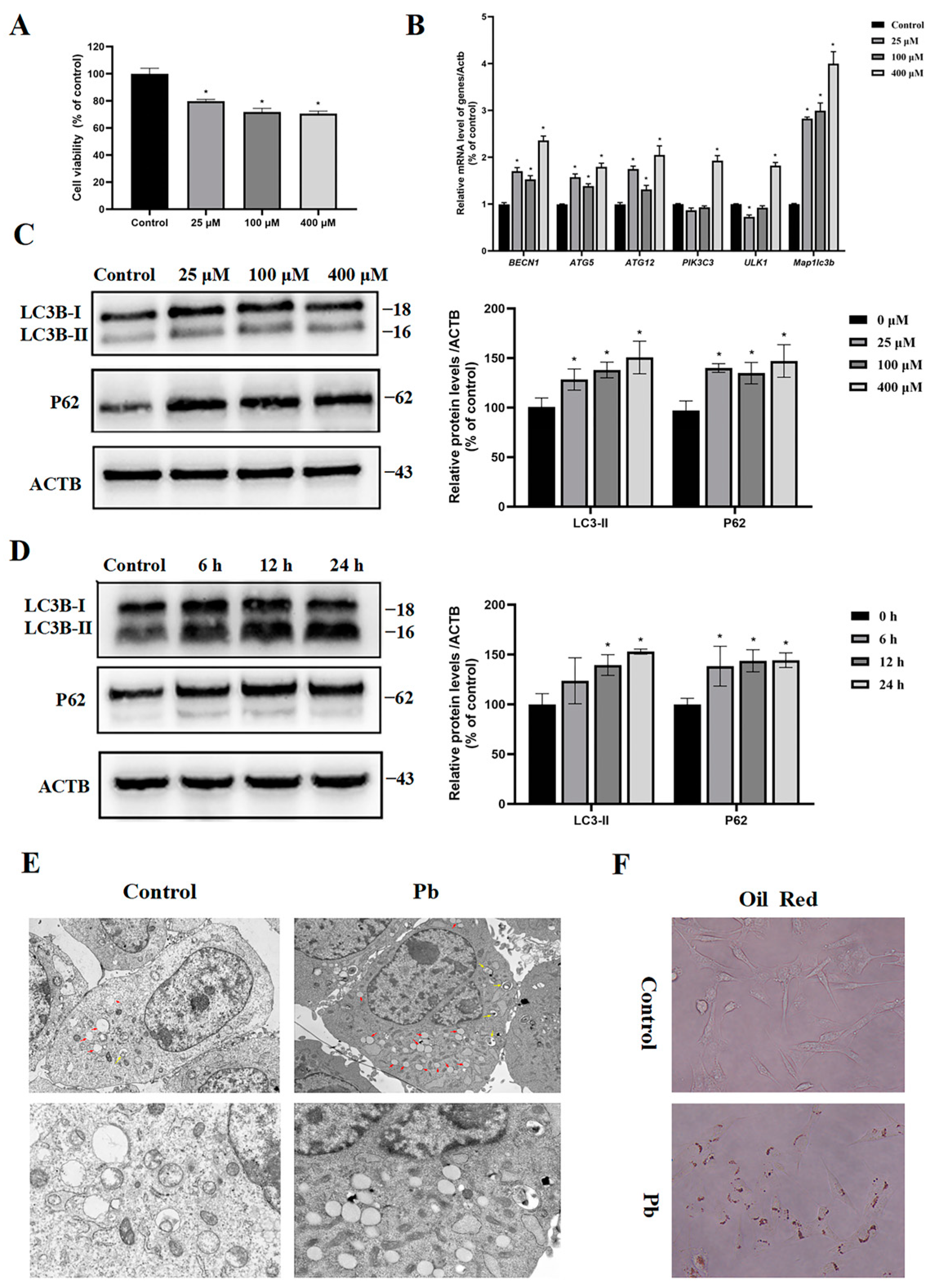 Toxics 13 00175 g002