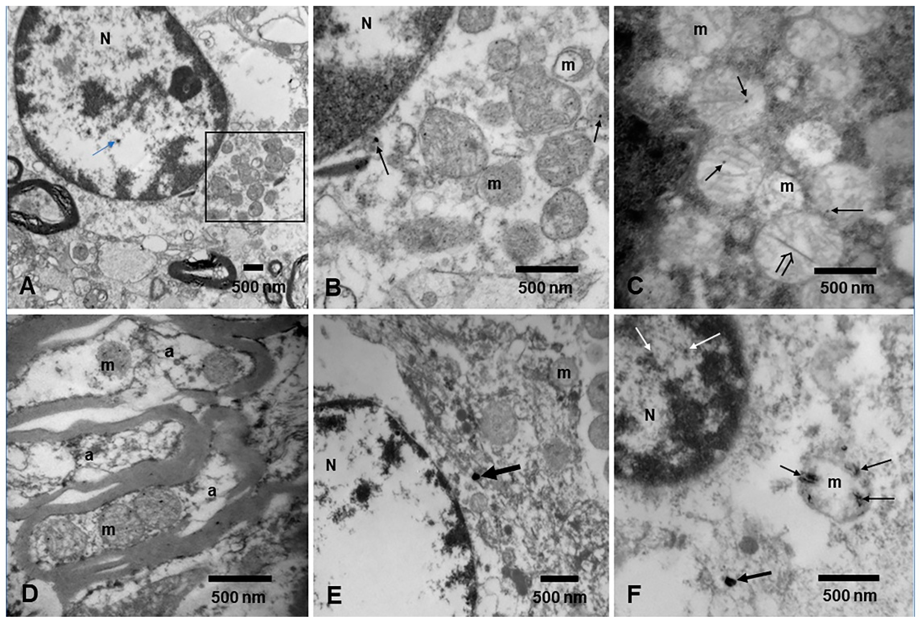 Toxics 13 00178 g006