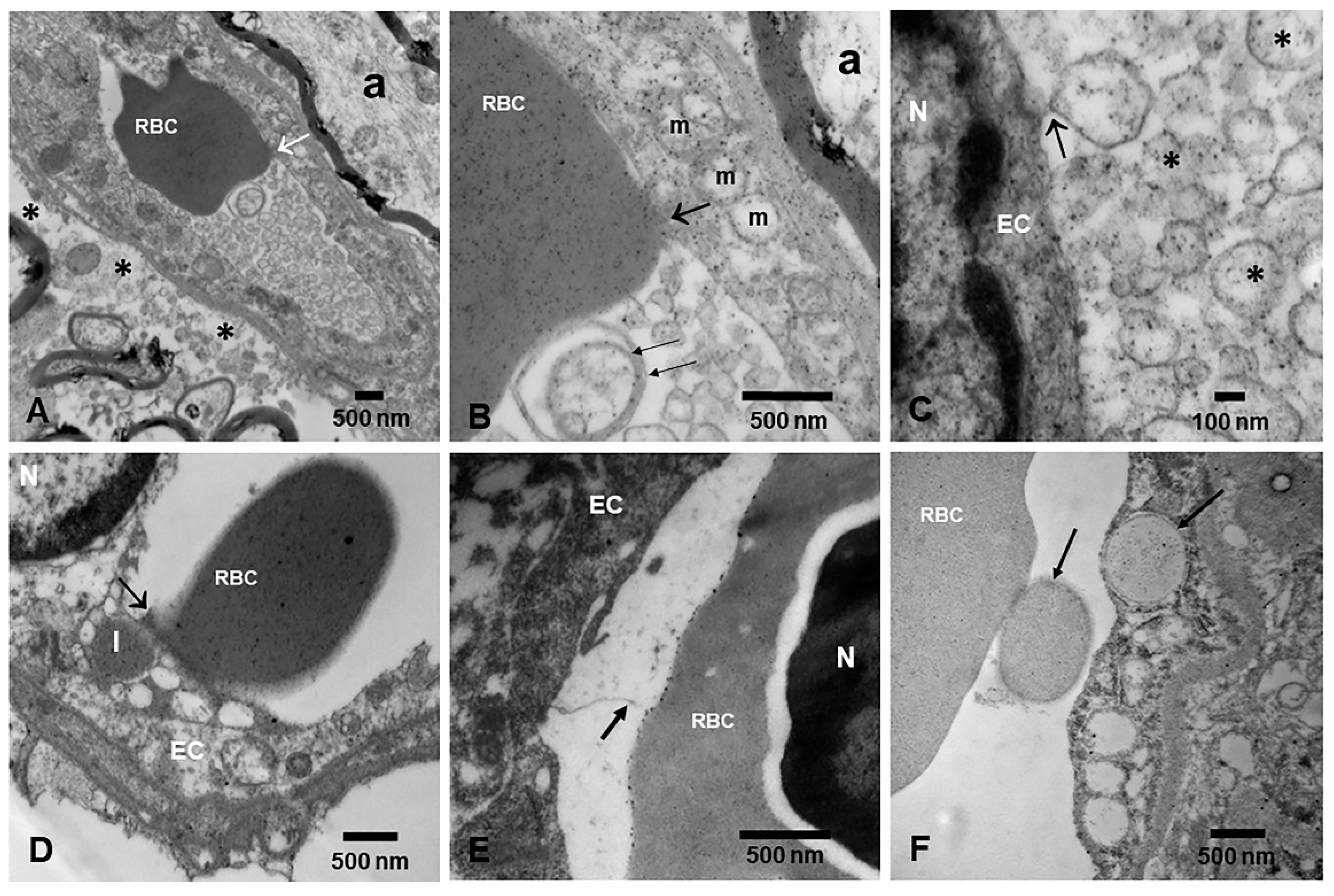 Toxics 13 00178 g009