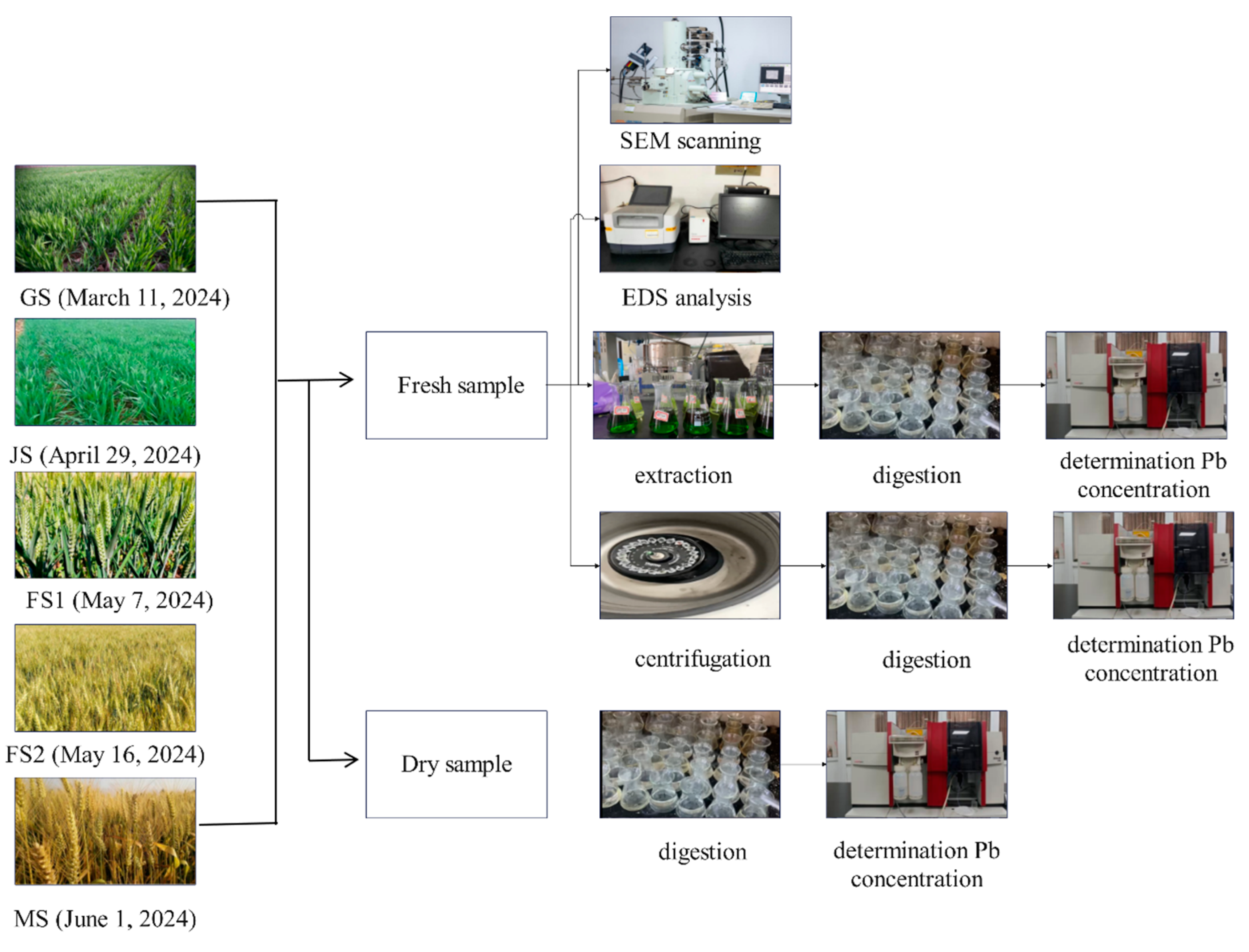 Toxics 13 00185 g003