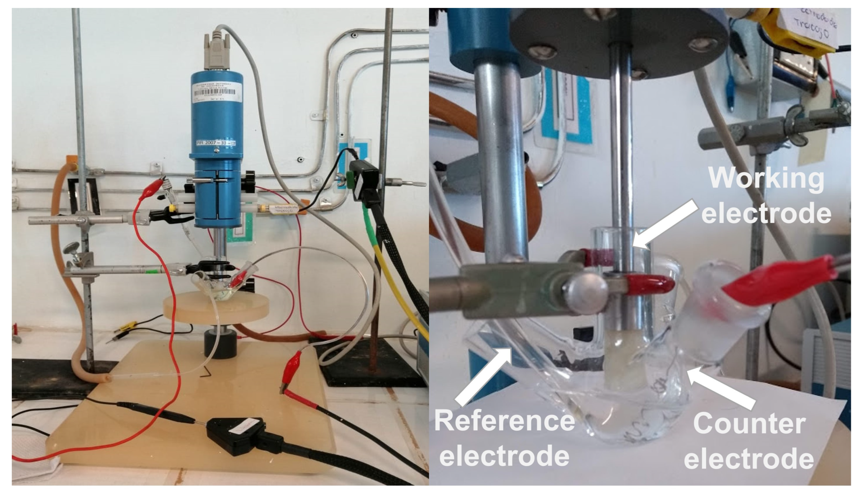 Toxics 13 00188 g002