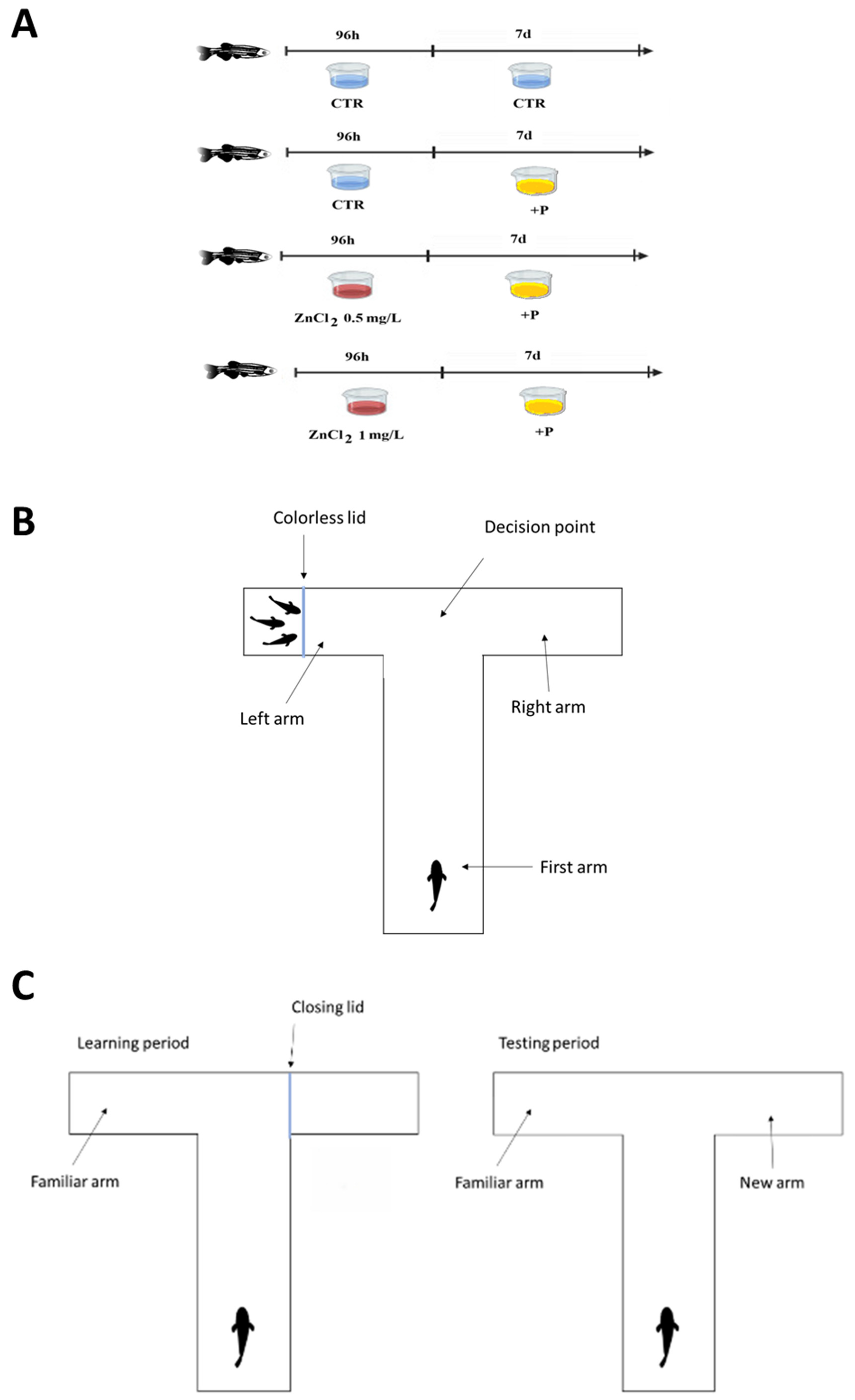 Toxics 13 00193 g001
