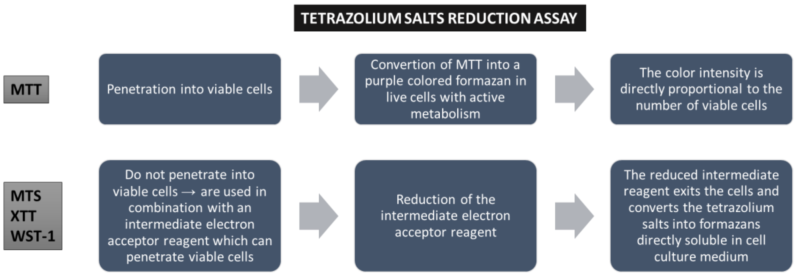 Toxics 13 00195 g002