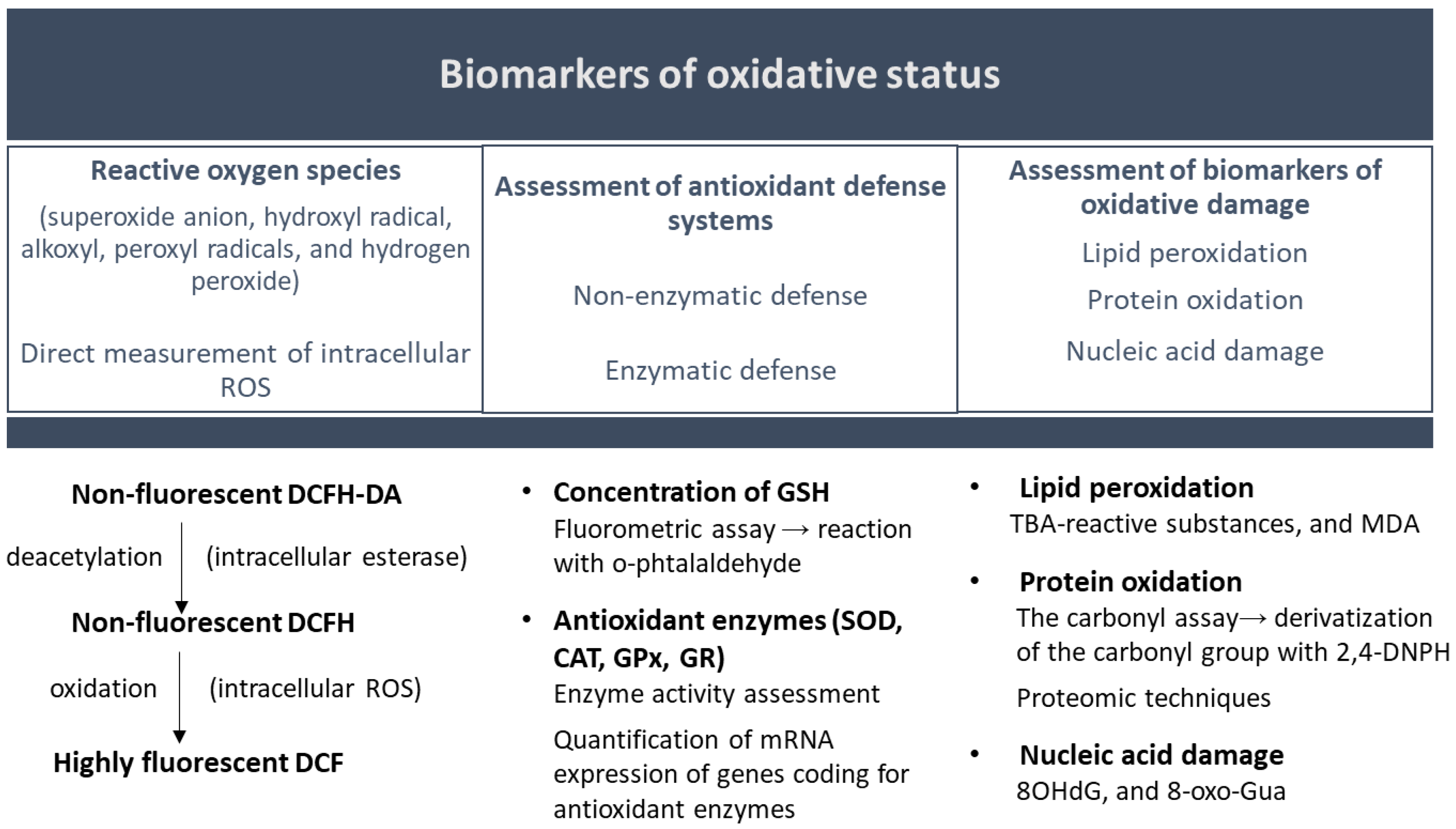 Toxics 13 00195 g005