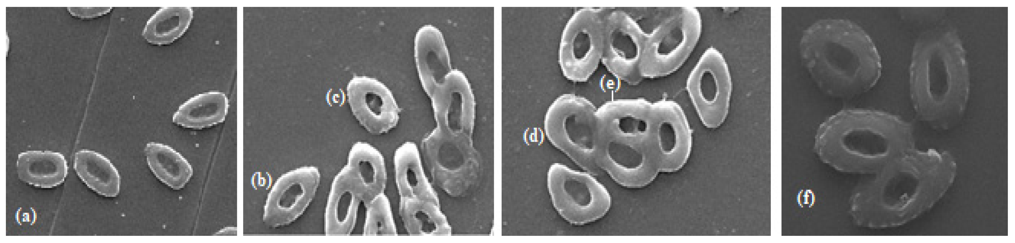 Toxics 13 00199 g006 Toxics 13 00199 g006
