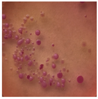 Toxics 13 00201 i002