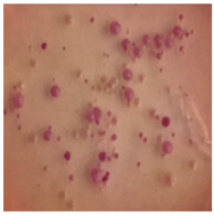 Toxics 13 00201 i003