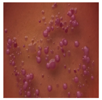 Toxics 13 00201 i005