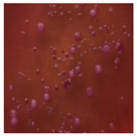 Toxics 13 00201 i006