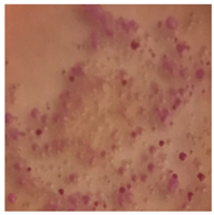 Toxics 13 00201 i007