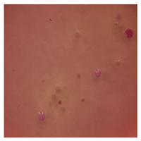 Toxics 13 00201 i008