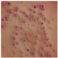 Toxics 13 00201 i014