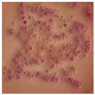 Toxics 13 00201 i015