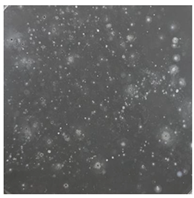 Toxics 13 00201 i016