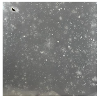 Toxics 13 00201 i019