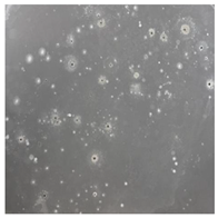 Toxics 13 00201 i020