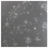 Toxics 13 00201 i021