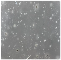 Toxics 13 00201 i026