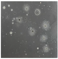 Toxics 13 00201 i027