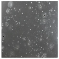 Toxics 13 00201 i029