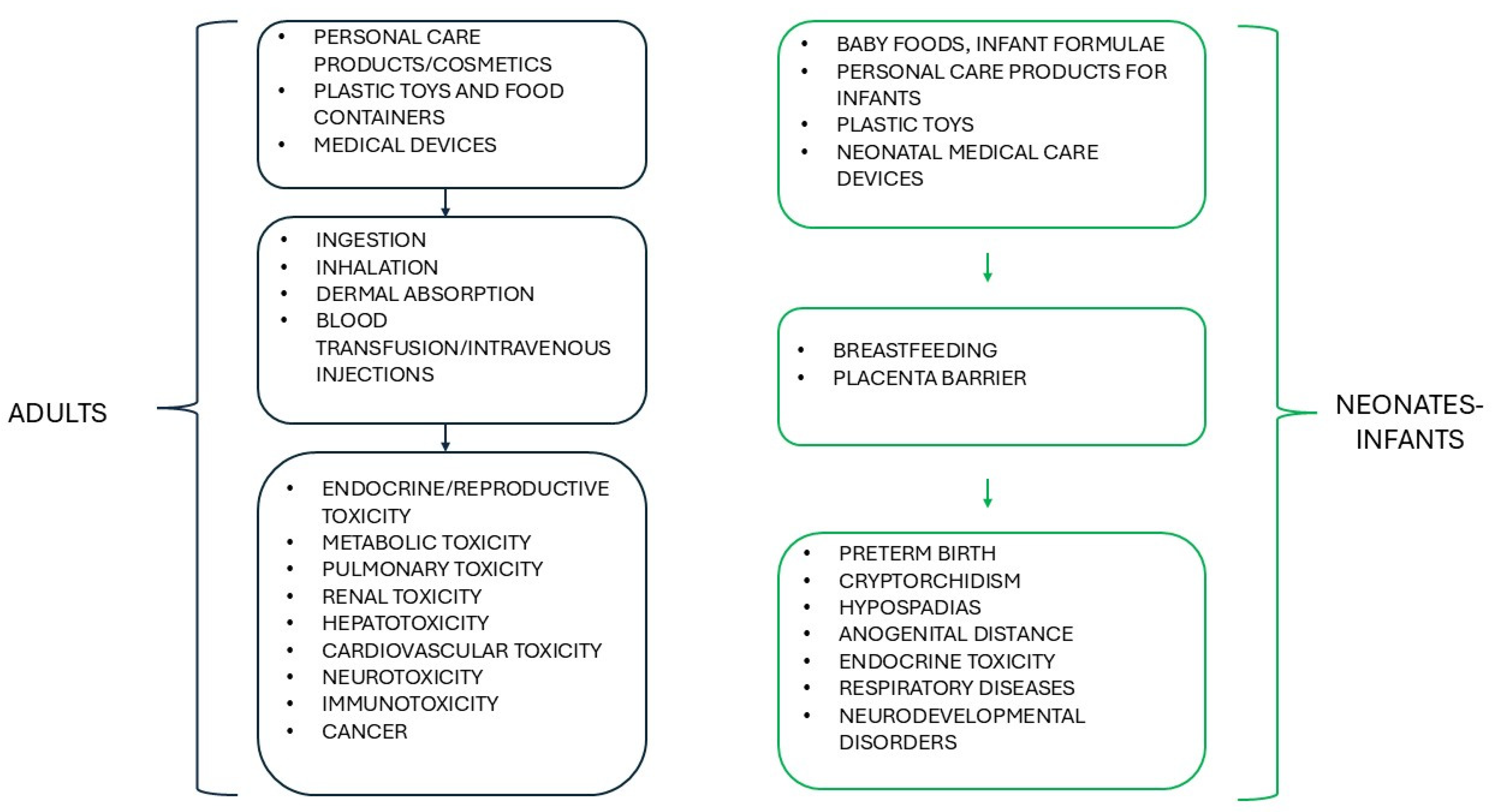 Toxics 13 00222 g002