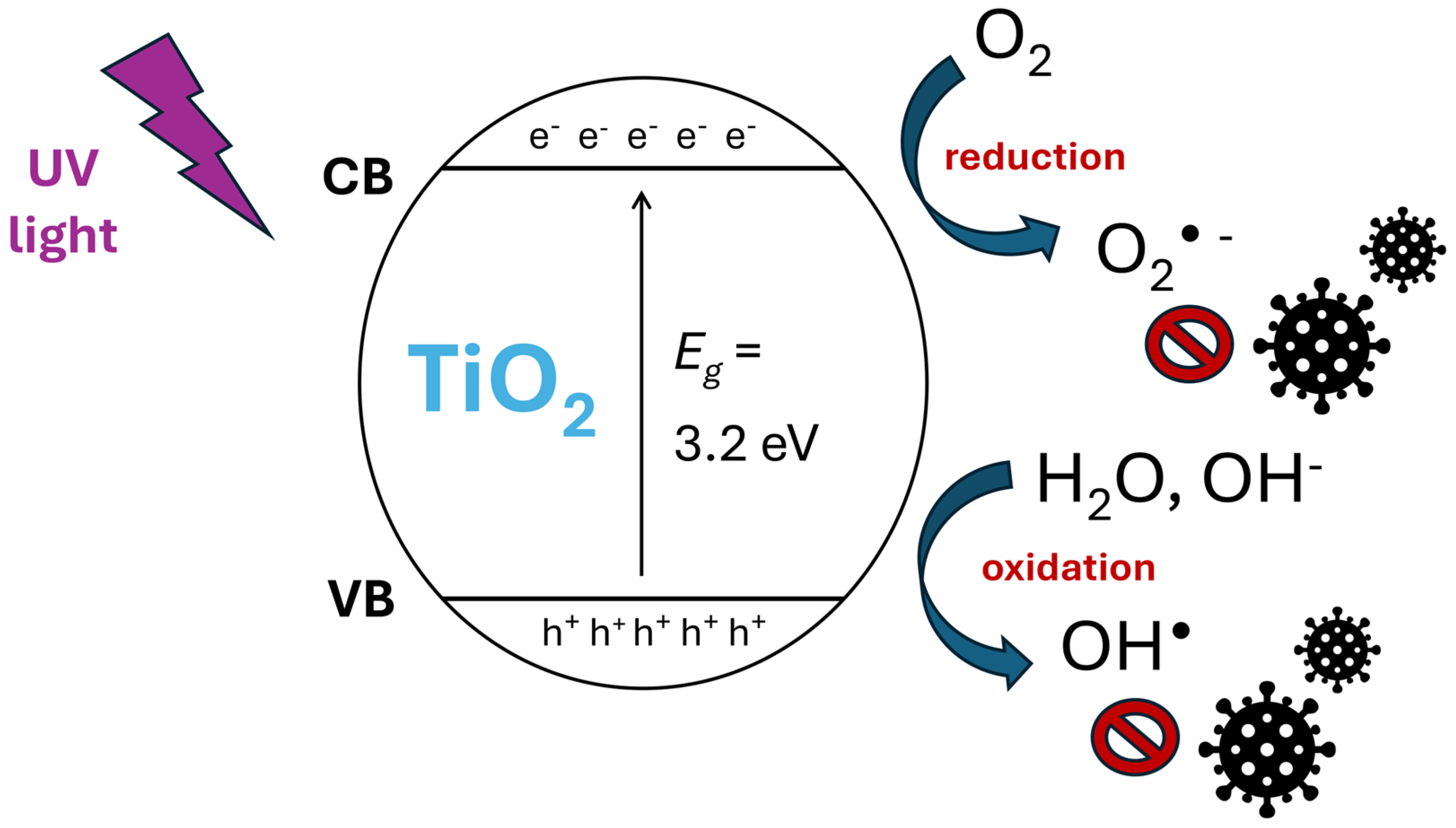 Toxics 13 00244 g002
