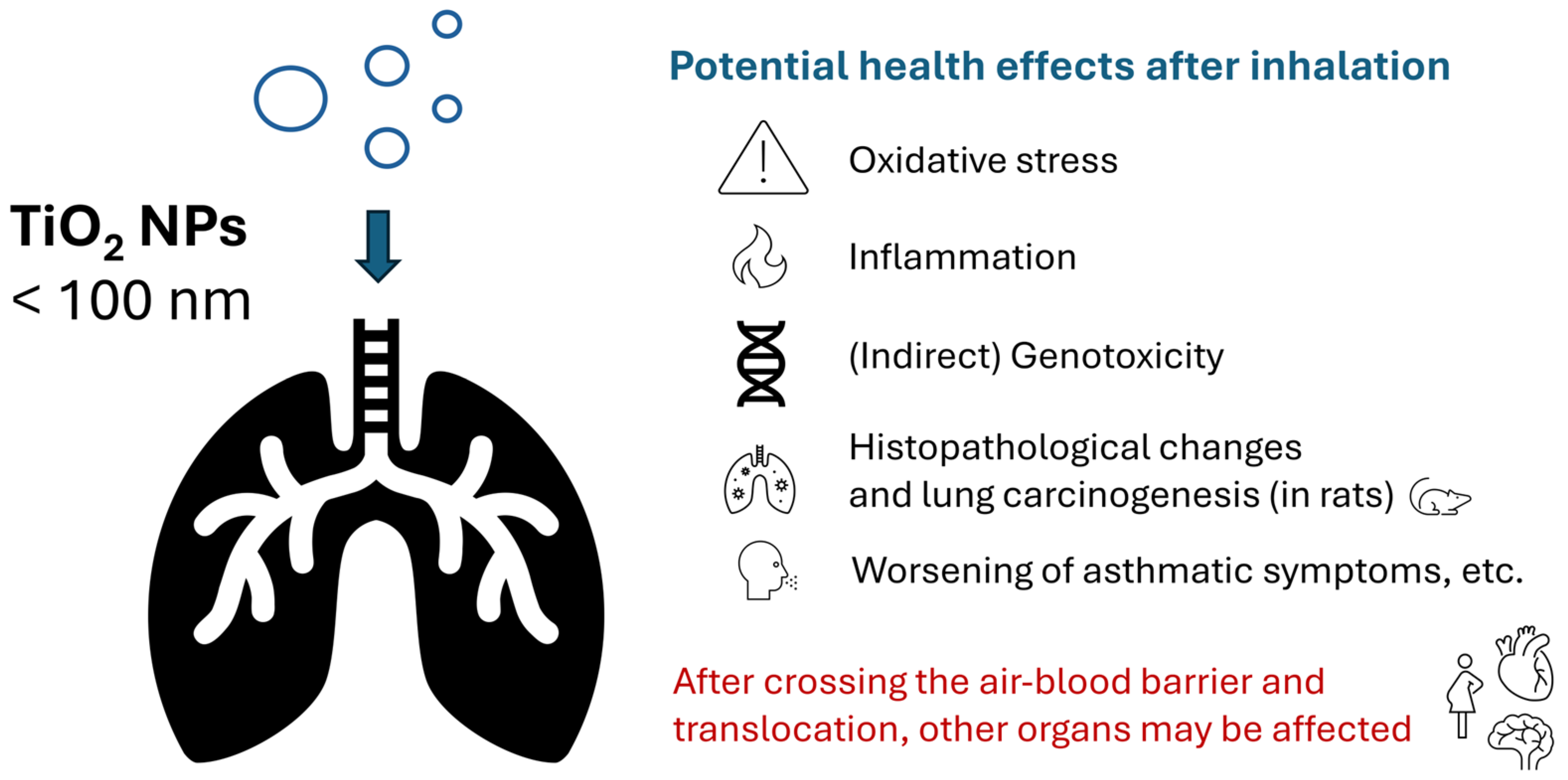 Toxics 13 00244 g003
