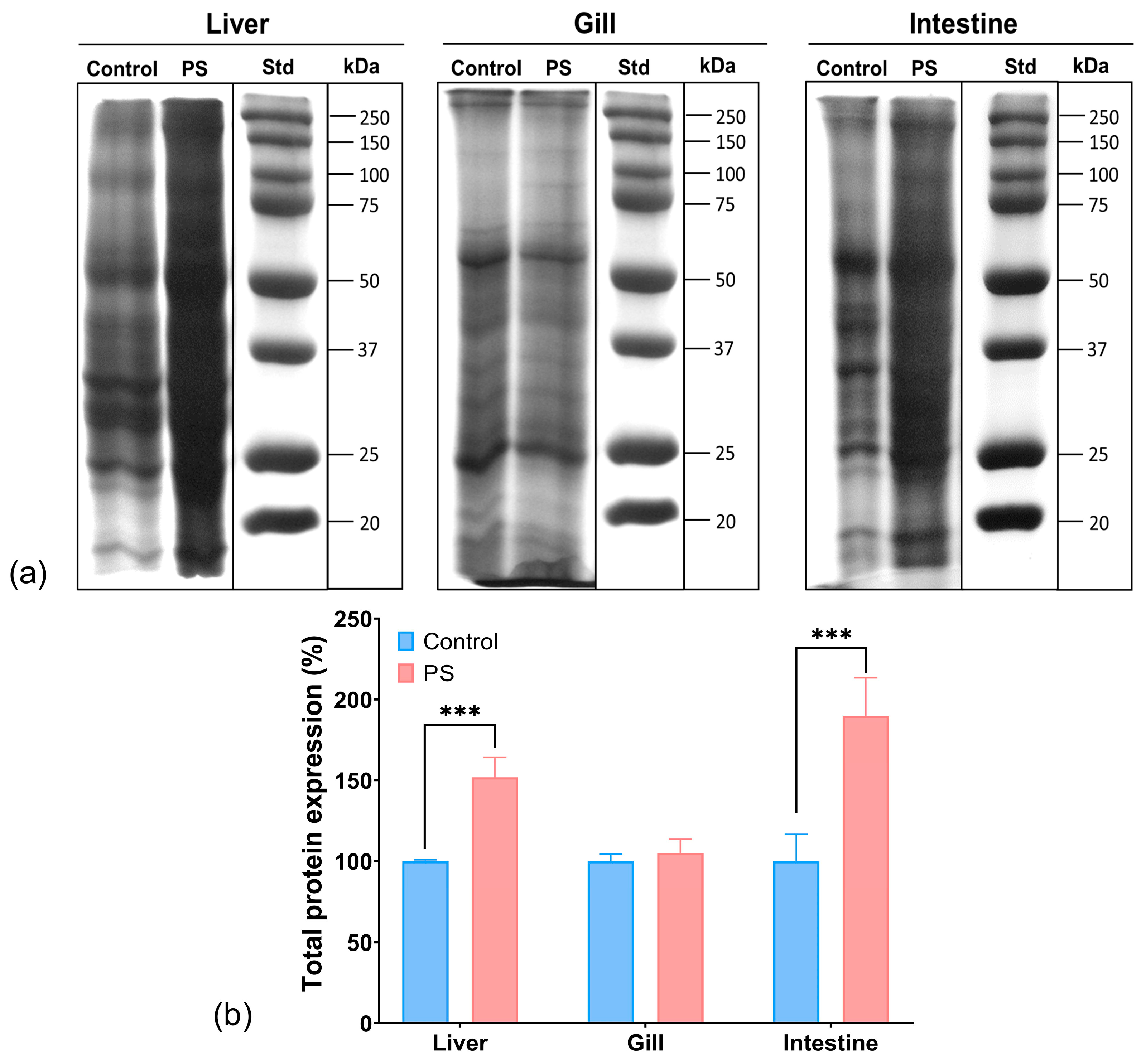 Toxics 13 00246 g007