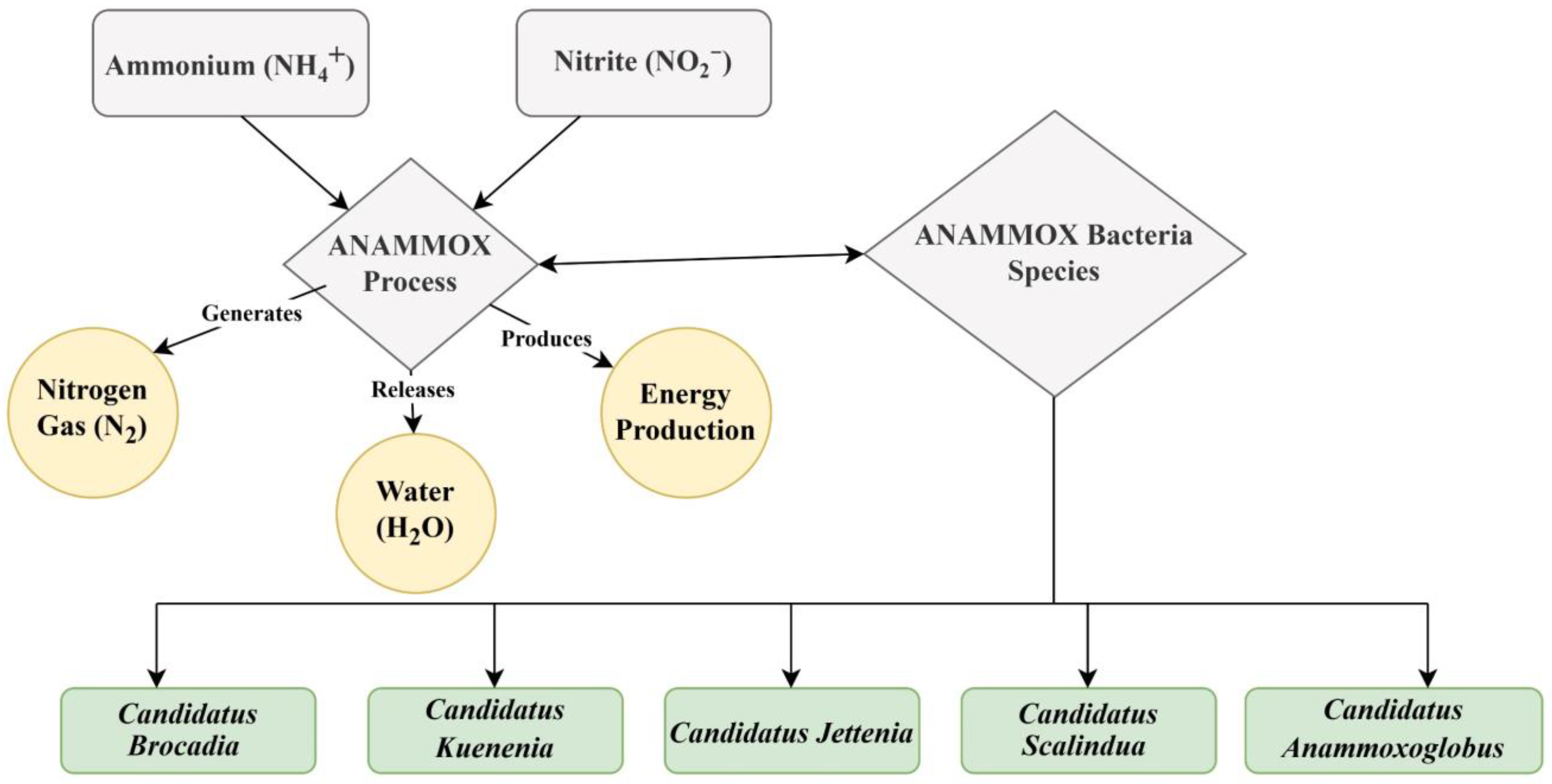 Toxics 13 00252 g005