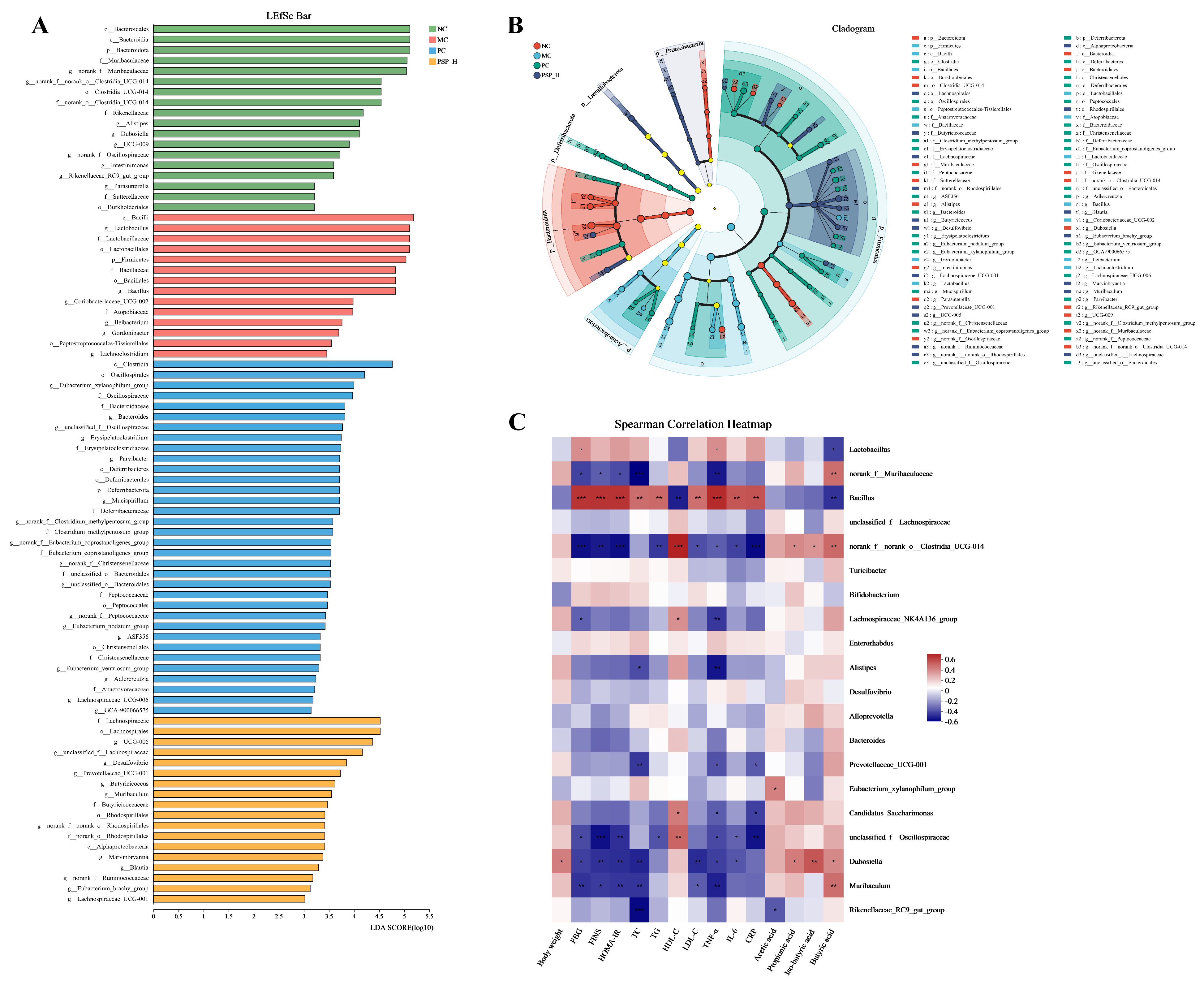 Toxics 13 00255 g011
