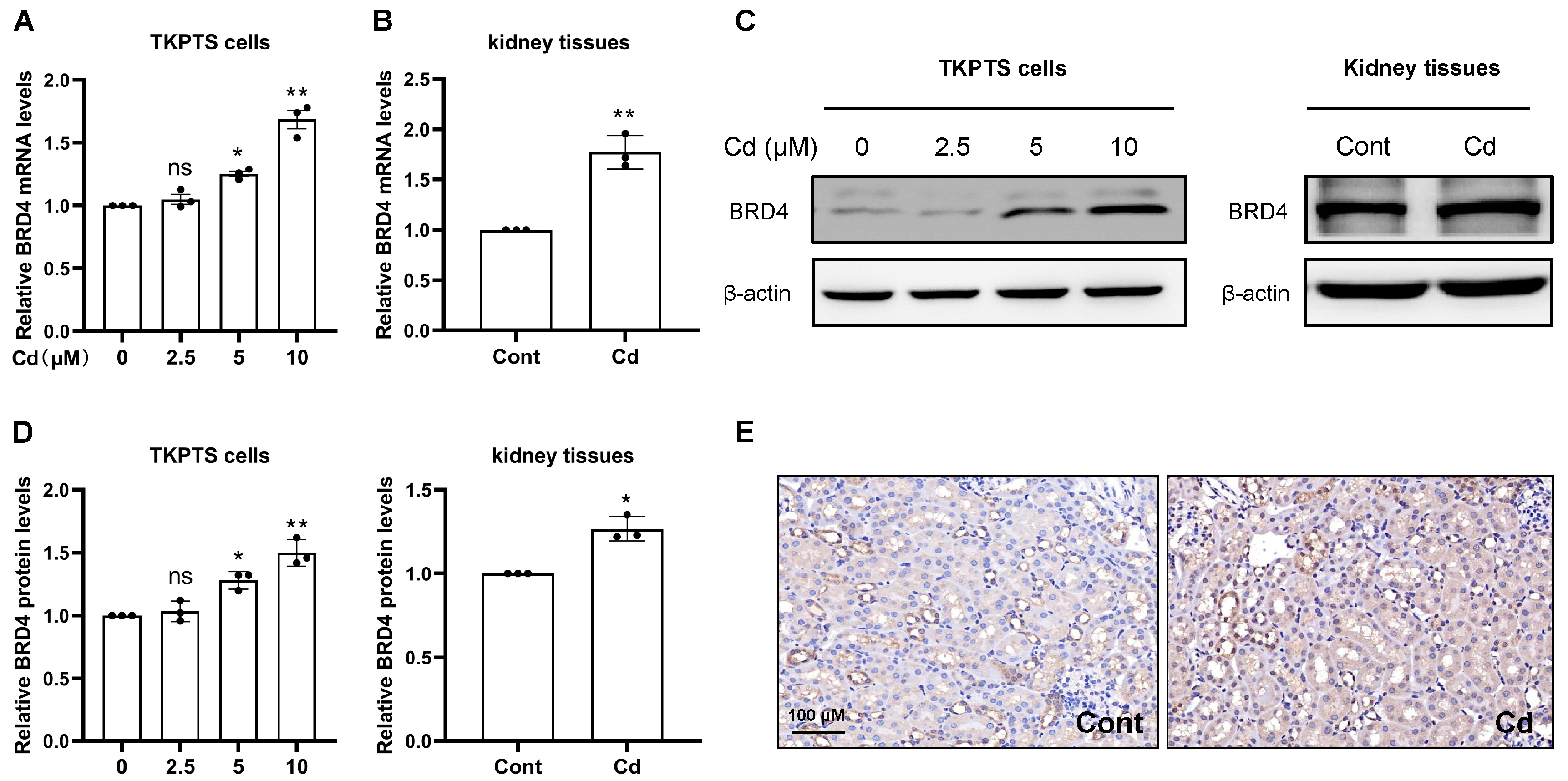Toxics 13 00258 g001