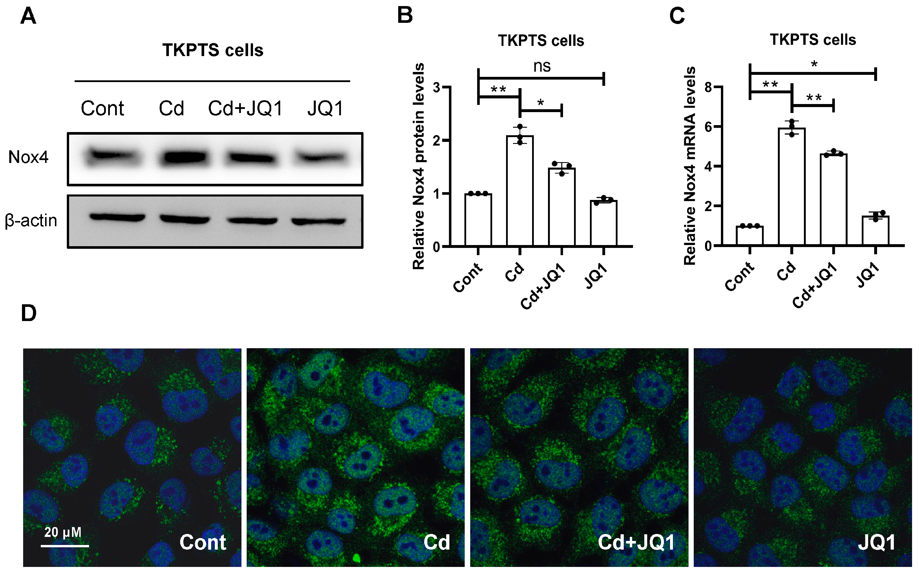 Toxics 13 00258 g004