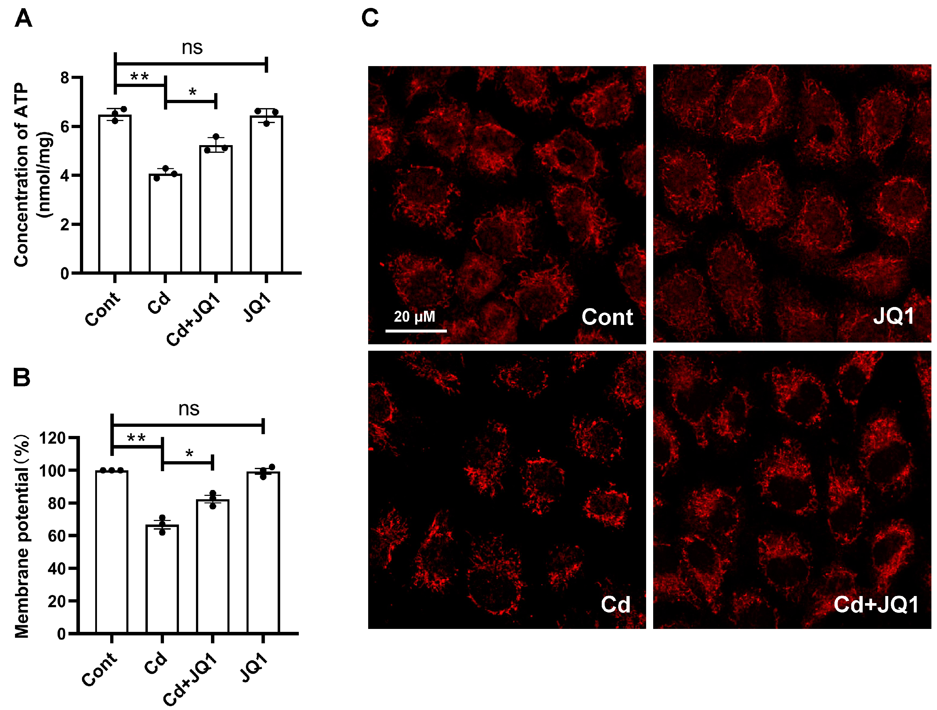 Toxics 13 00258 g005