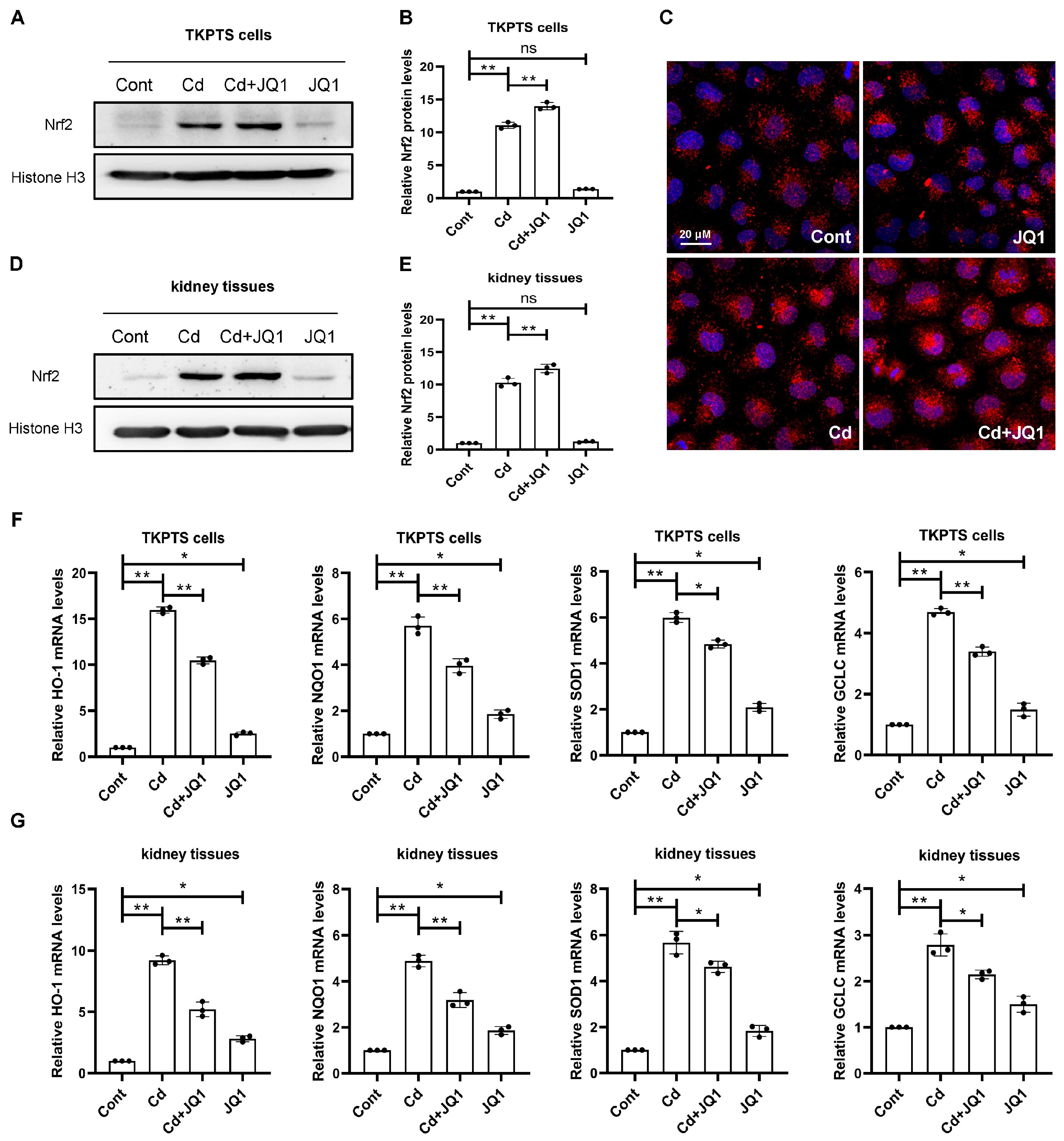 Toxics 13 00258 g006