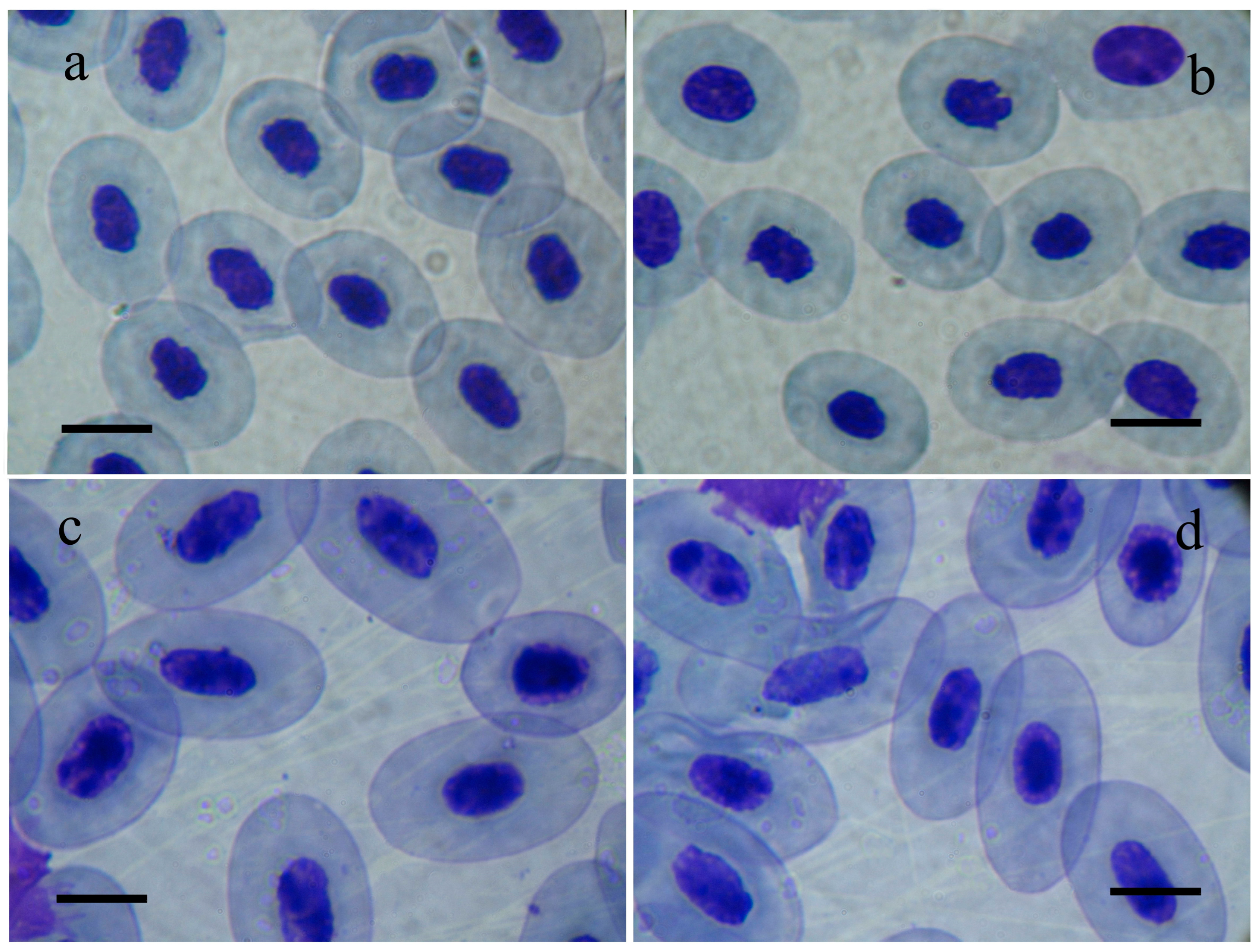 Toxics 13 00261 g003