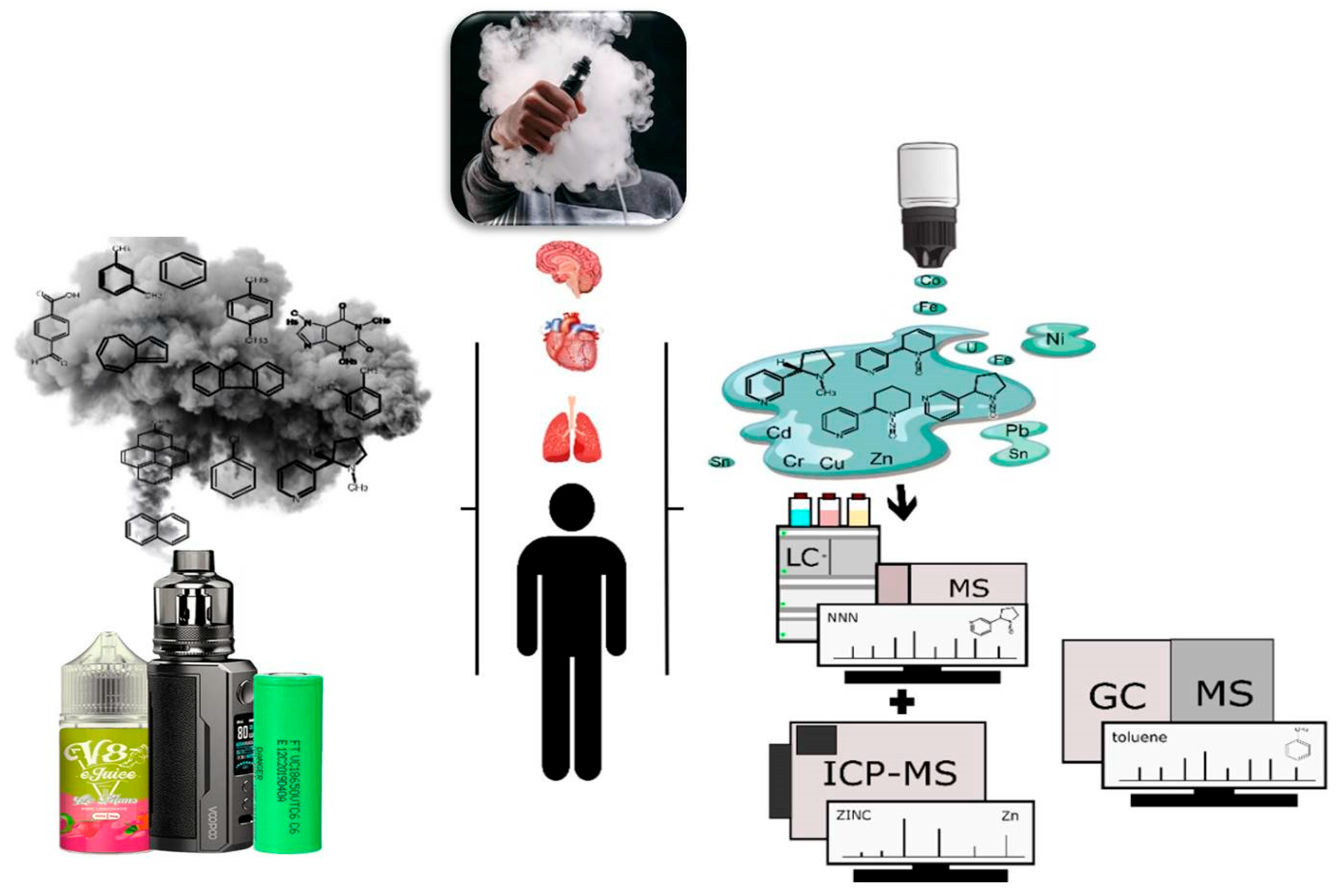 Toxics 13 00268 g002