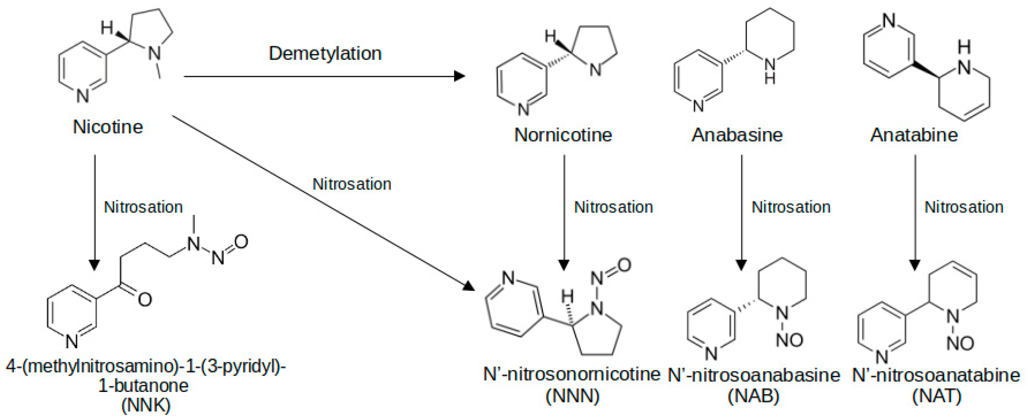 Toxics 13 00268 g003