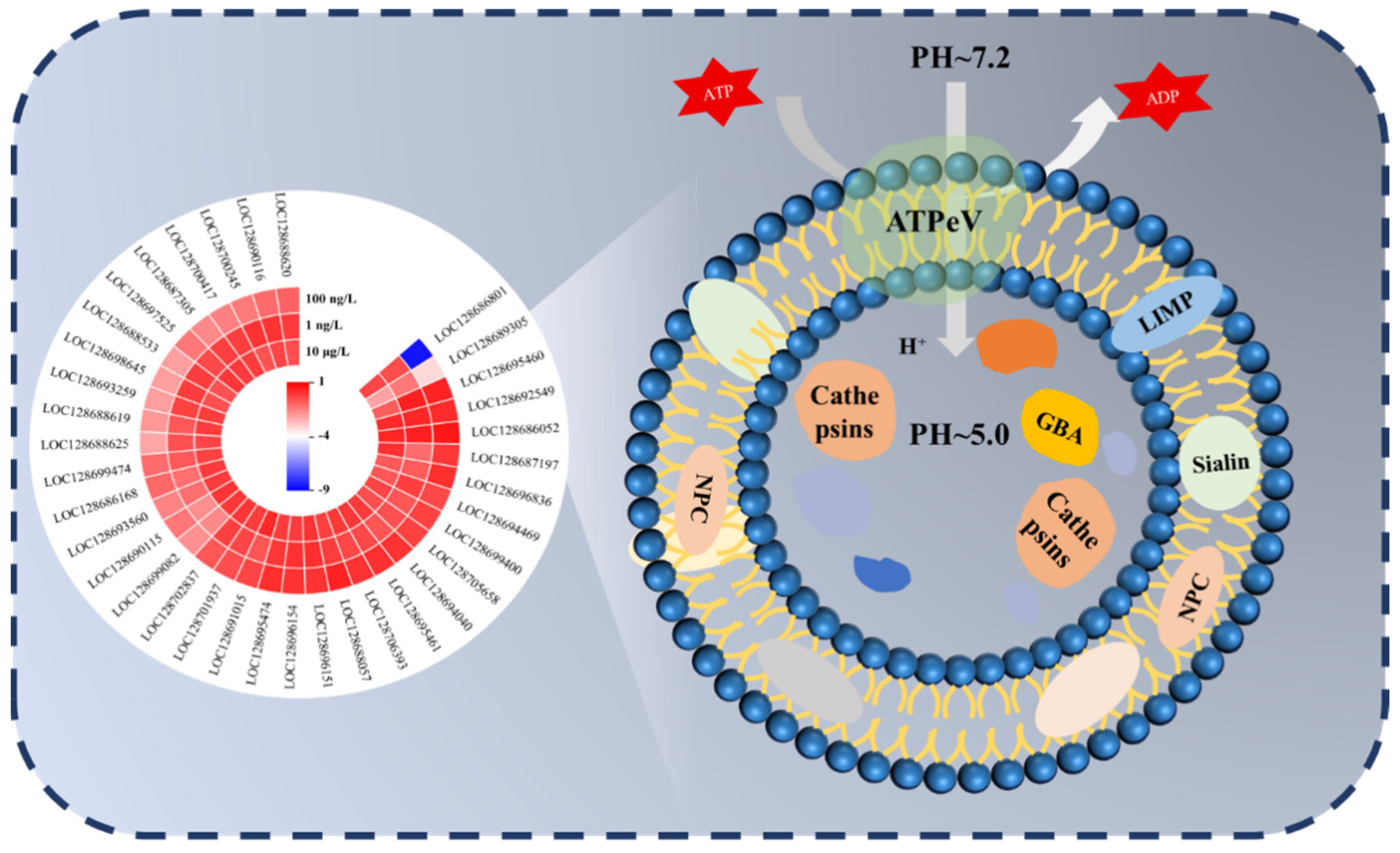 Toxics 13 00269 g005