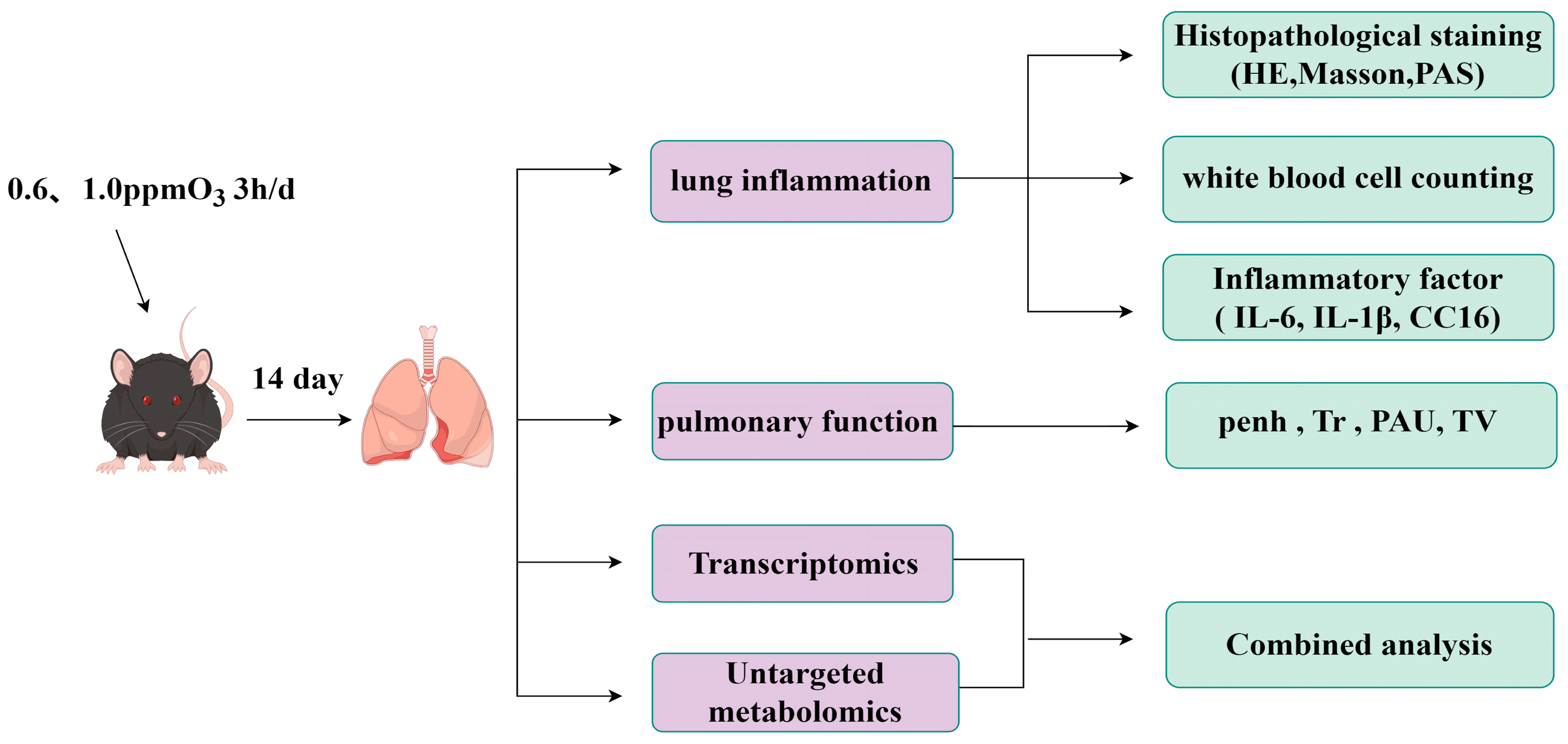 Toxics 13 00271 g001