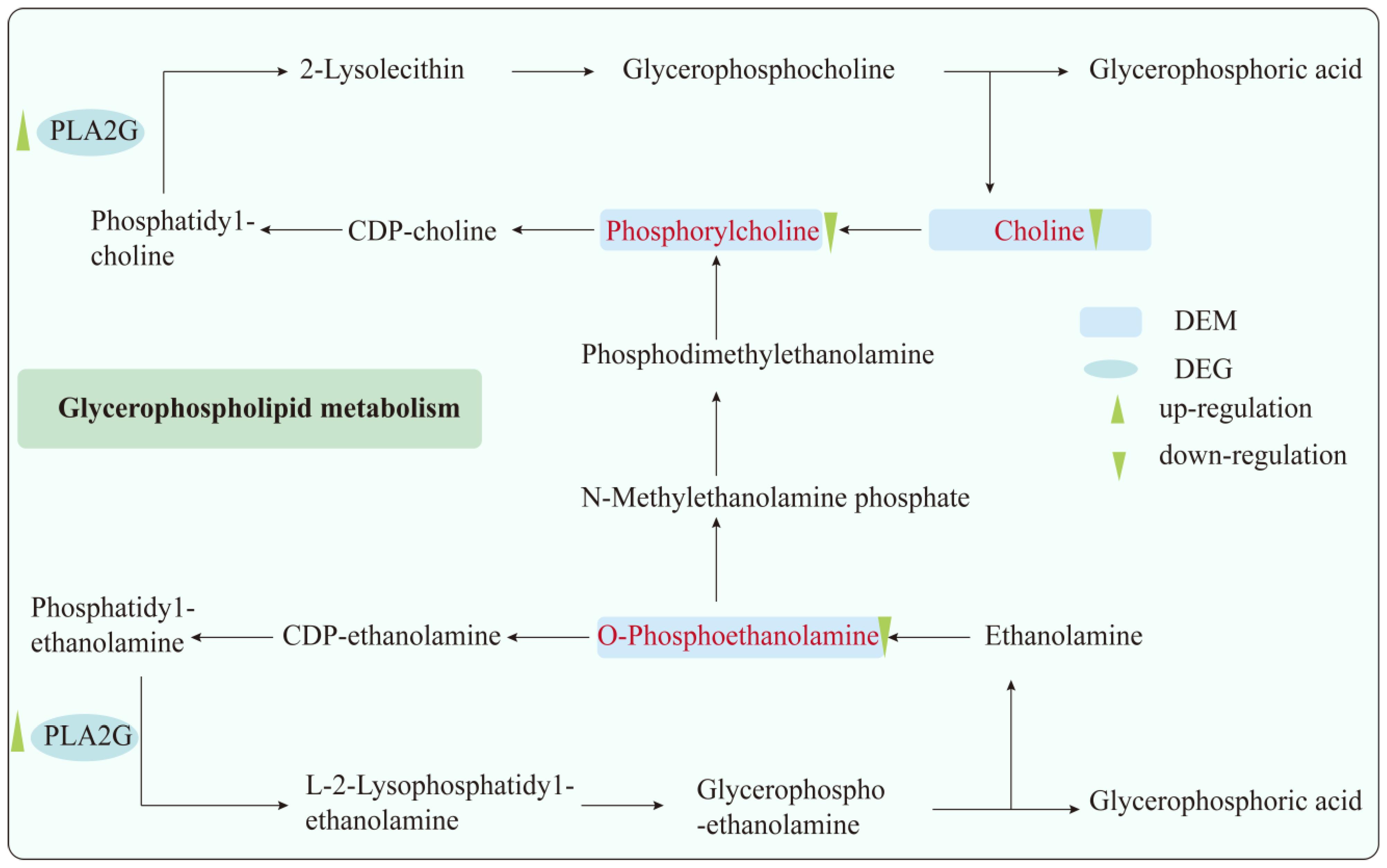 Toxics 13 00271 g006