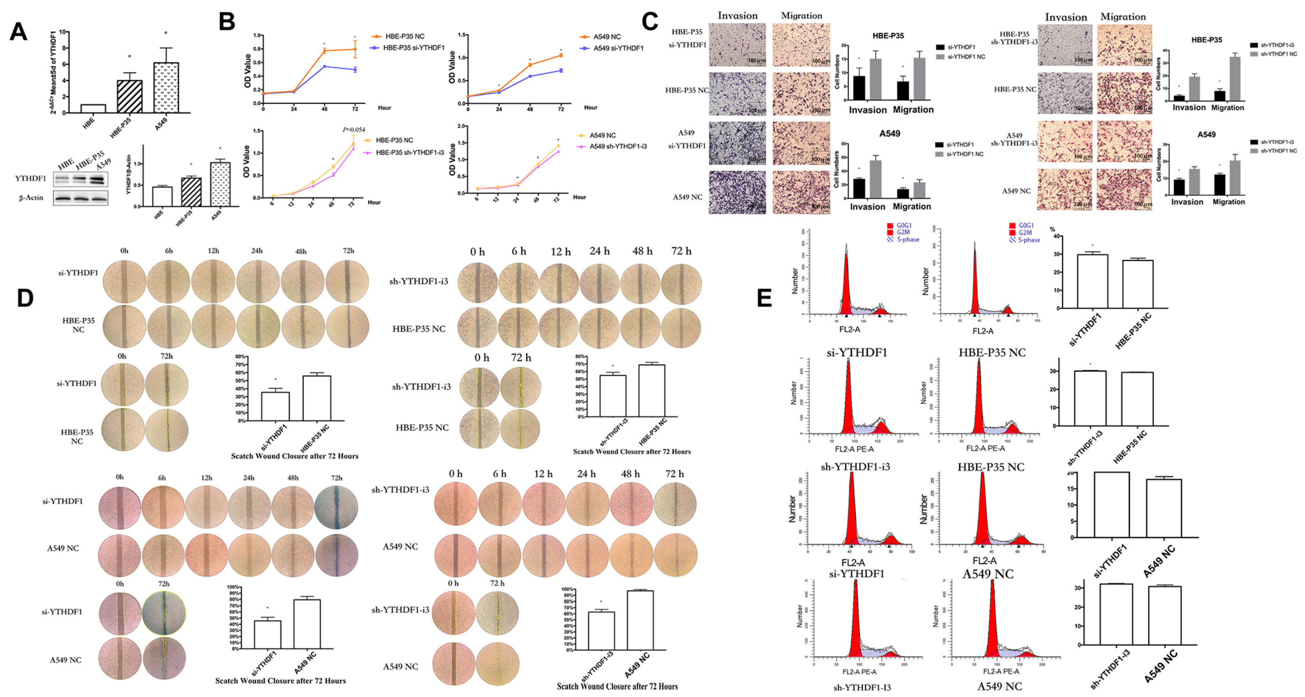 Toxics 13 00280 g002