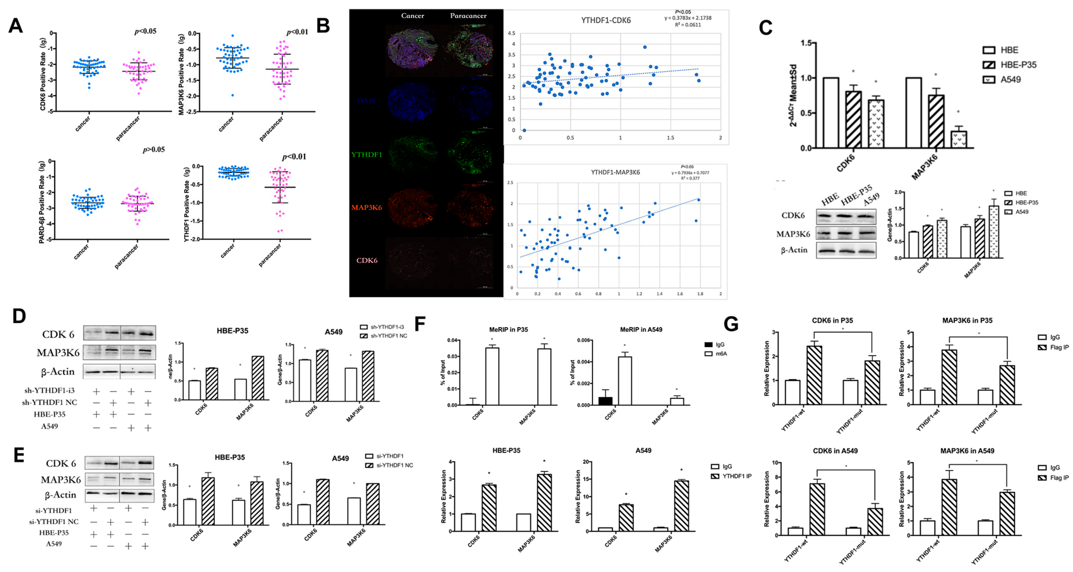 Toxics 13 00280 g003