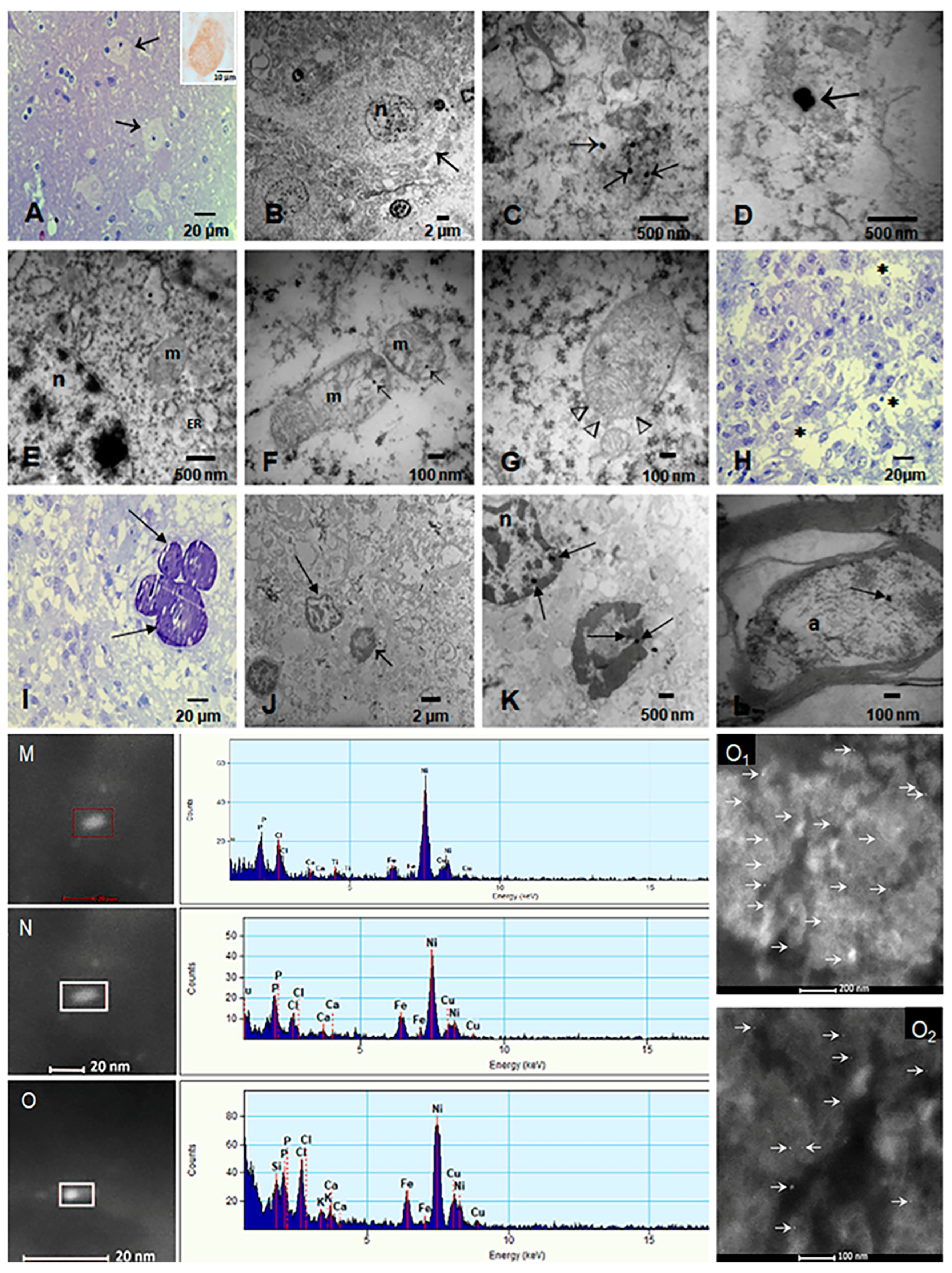 Toxics 13 00284 g004