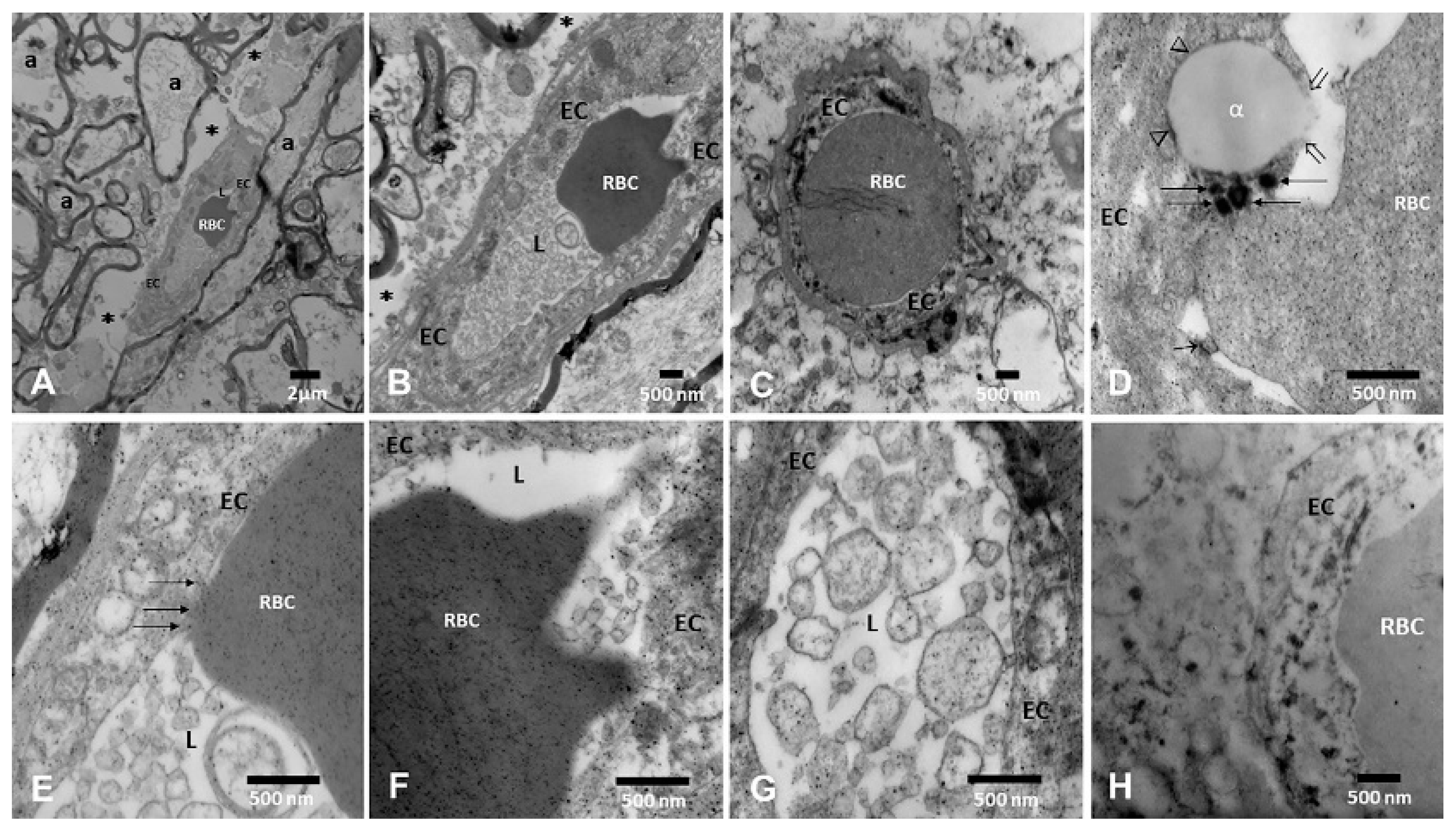 Toxics 13 00284 g005